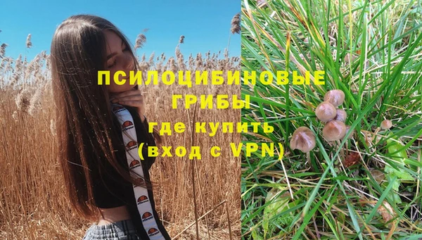 винт Бородино