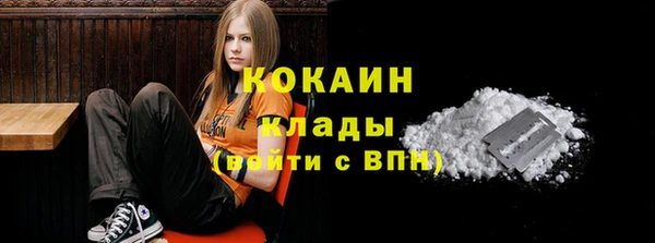 дурь Богородицк