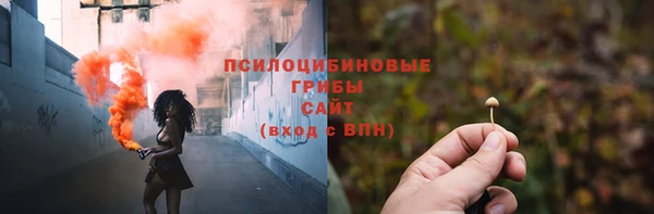 ГАЛЛЮЦИНОГЕННЫЕ ГРИБЫ Бугульма