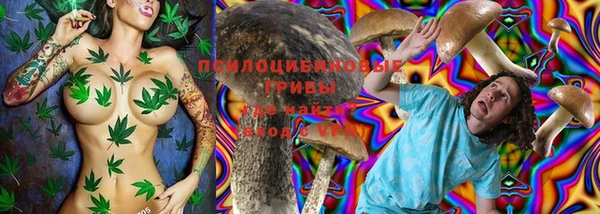дурь Богородицк