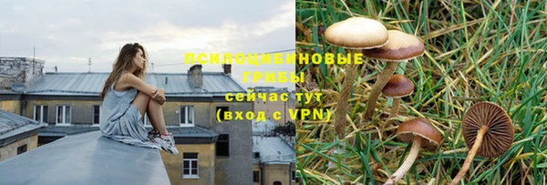 марки lsd Бронницы