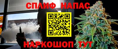 МДПВ Кинель