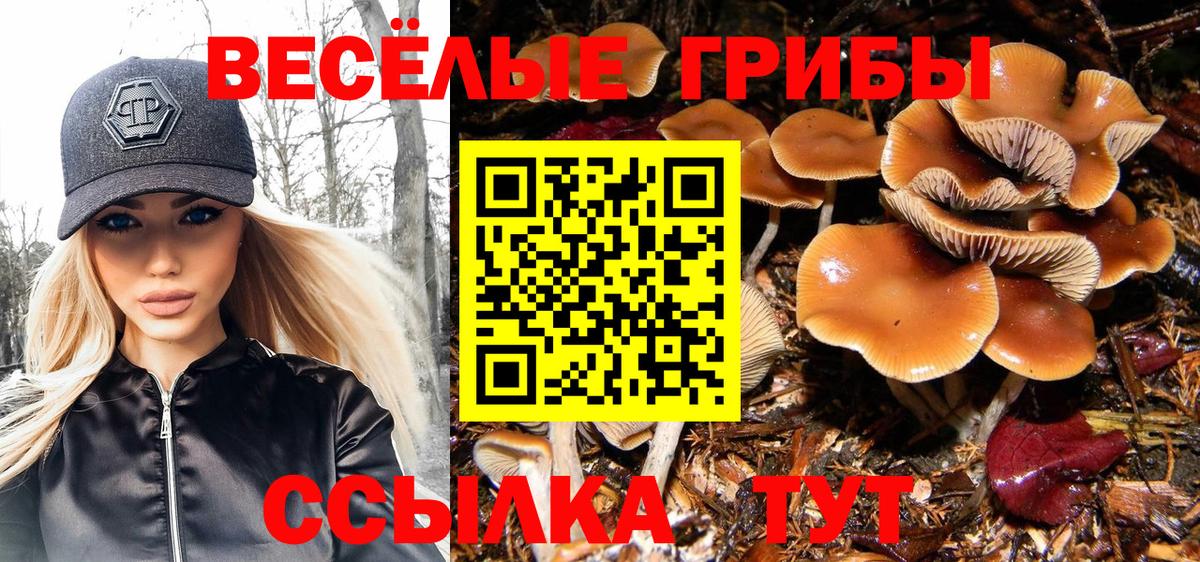 Кузнецк  купить   Вход с VPN  Галлюциногенные грибы мицелий  Галлюциногенные грибы GOLDEN TEACHER 